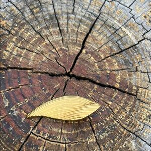 Elegant Gold Leaf Brooch